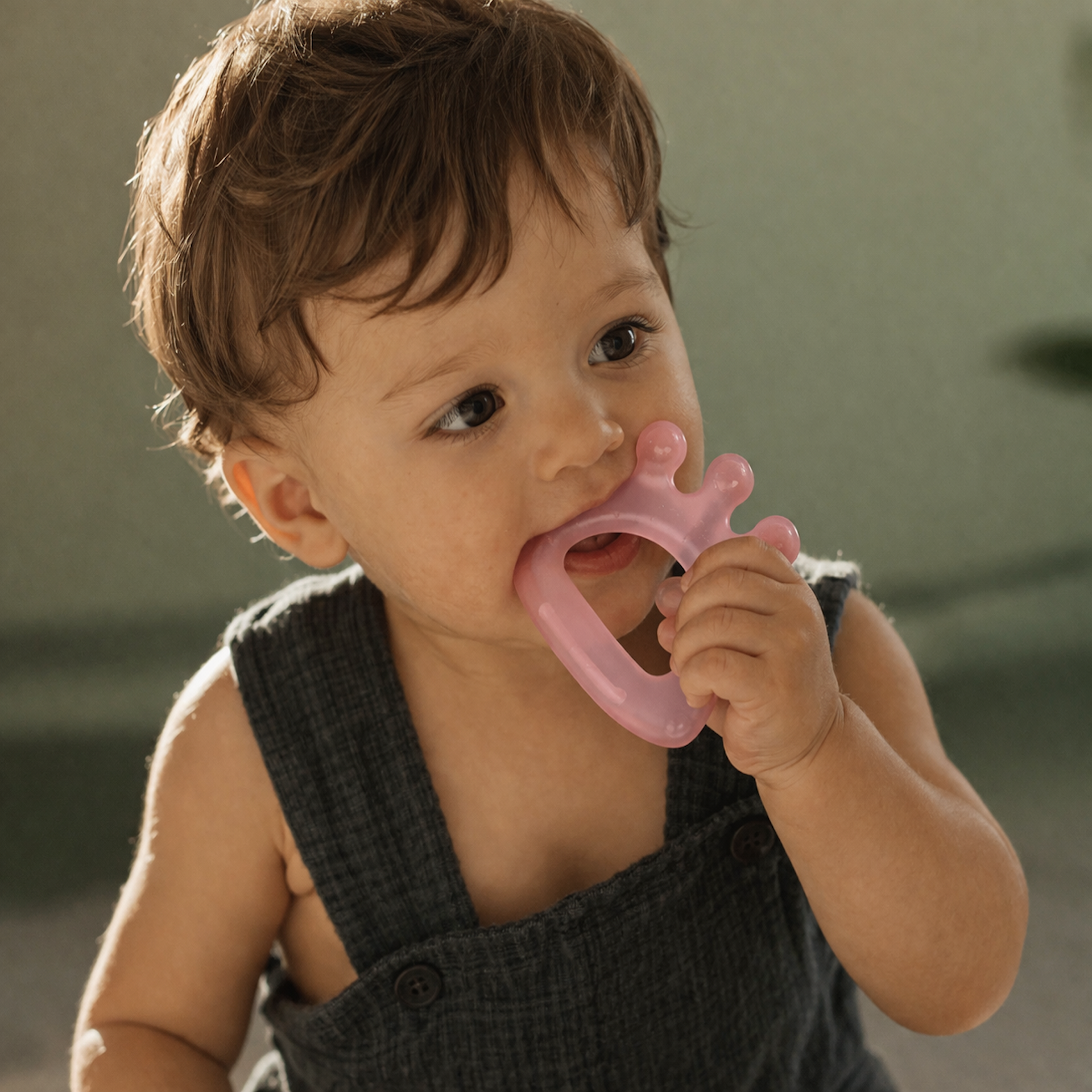 Teether Toy